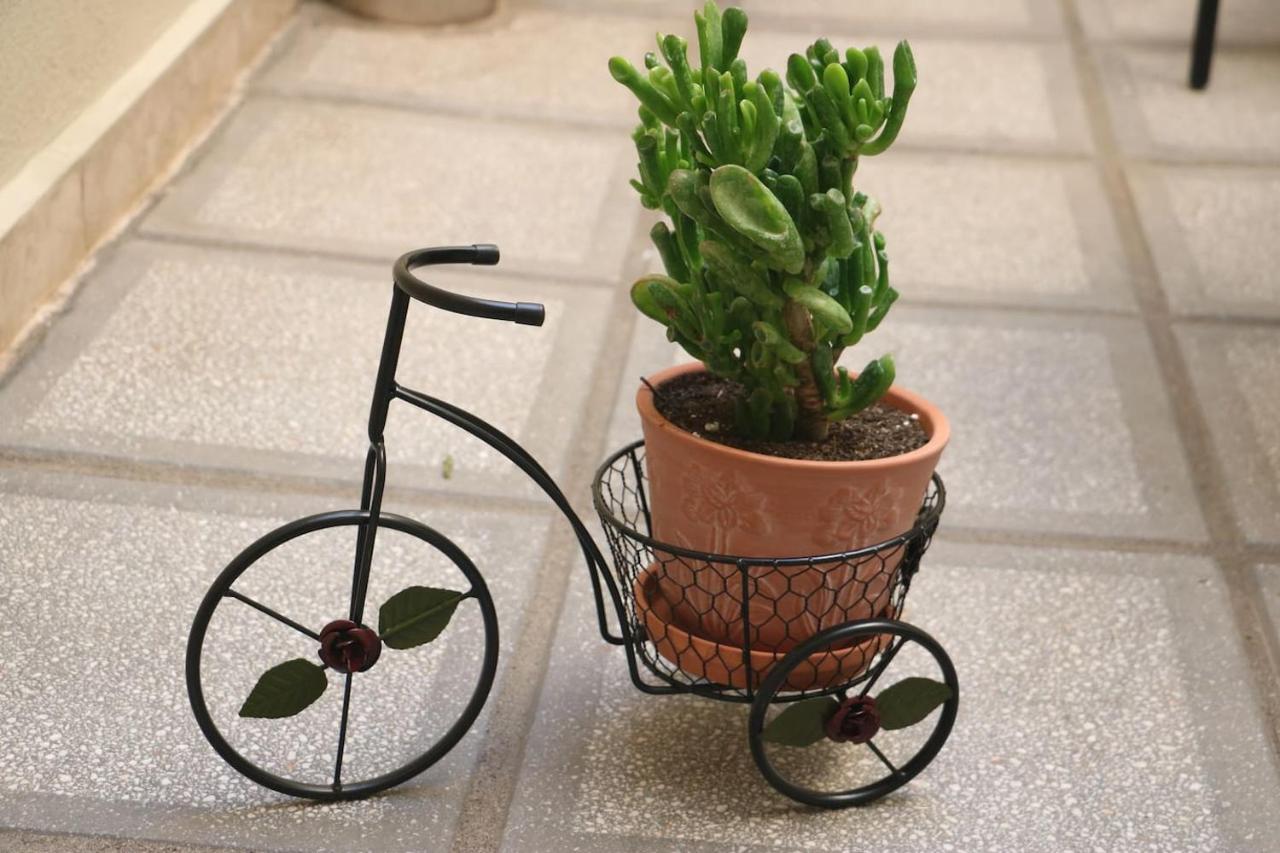 Quiet Urban Studio With Private Backyard Salonicco Esterno foto